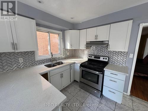 7 Dupont Court, Brampton, ON - Indoor Photo Showing Kitchen With Double Sink