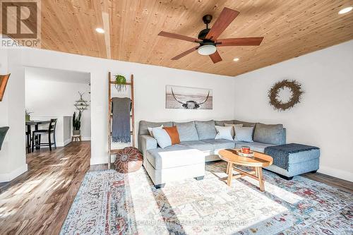 45 Chilton Drive, Hamilton, ON - Indoor Photo Showing Living Room