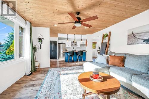 45 Chilton Drive, Hamilton, ON - Indoor Photo Showing Living Room