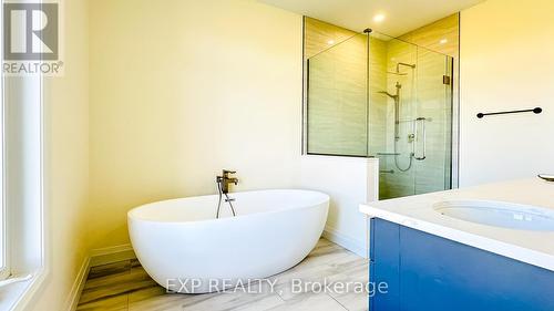 12 Hudson Drive, Brant, ON - Indoor Photo Showing Bathroom