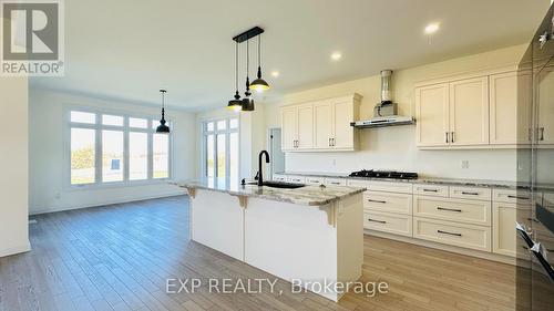 12 Hudson Drive, Brant, ON - Indoor Photo Showing Kitchen With Upgraded Kitchen