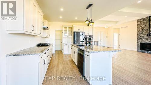 12 Hudson Drive, Brant, ON - Indoor Photo Showing Kitchen With Double Sink With Upgraded Kitchen