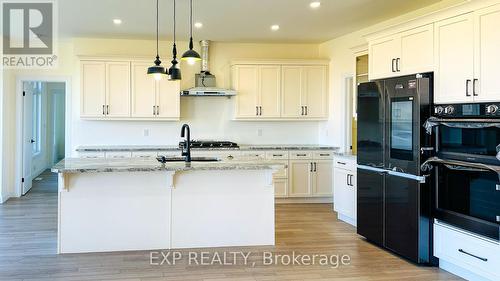 12 Hudson Drive, Brant, ON - Indoor Photo Showing Kitchen