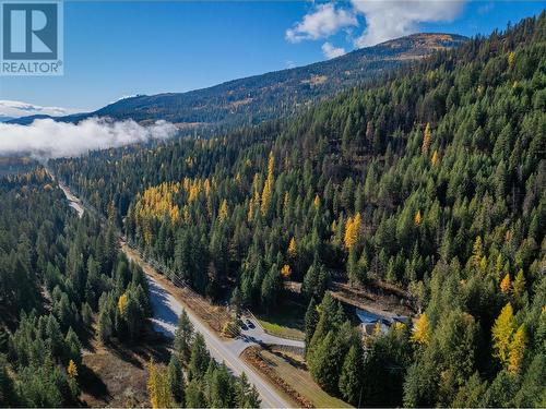 635 Highway 22 Highway, Rossland, BC - Outdoor With View