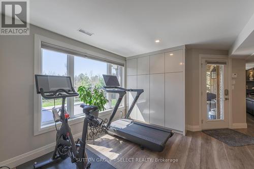 231 Pebblecreek Walk, London, ON - Indoor Photo Showing Gym Room