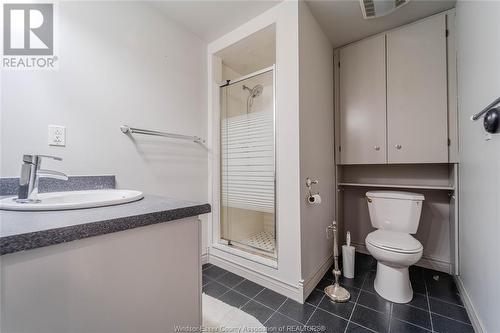 535 Gary Unit# Lower, Lasalle, ON - Indoor Photo Showing Bathroom