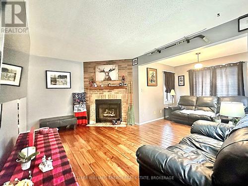 9 Maple Avenue, Asphodel-Norwood (Norwood), ON - Indoor Photo Showing Living Room With Fireplace