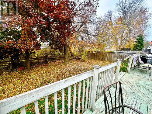 9 Maple Avenue, Asphodel-Norwood (Norwood), ON - Outdoor With Deck Patio Veranda