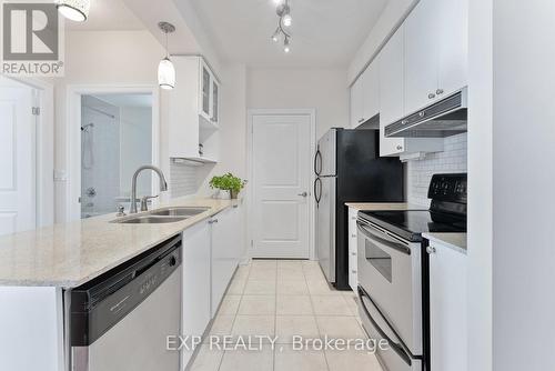 217 - 245 Dalesford Road, Toronto, ON - Indoor Photo Showing Kitchen With Stainless Steel Kitchen With Double Sink