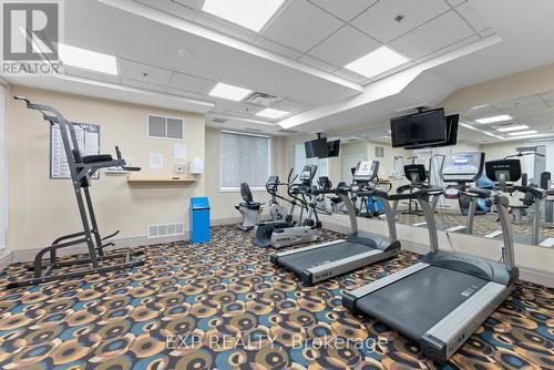 217 - 245 Dalesford Road, Toronto, ON - Indoor Photo Showing Gym Room