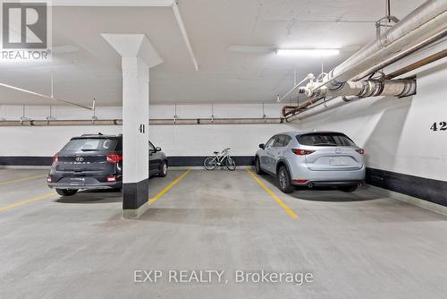 217 - 245 Dalesford Road, Toronto, ON - Indoor Photo Showing Garage