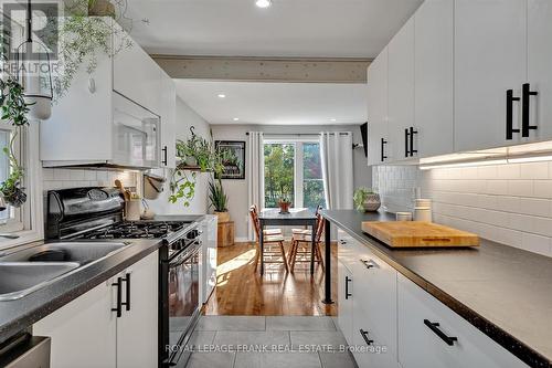 224 Caddy Street, Peterborough (Ashburnham), ON - Indoor Photo Showing Kitchen With Double Sink