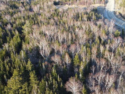 Lot 23 Shieling Drive, Marion Bridge, NS 