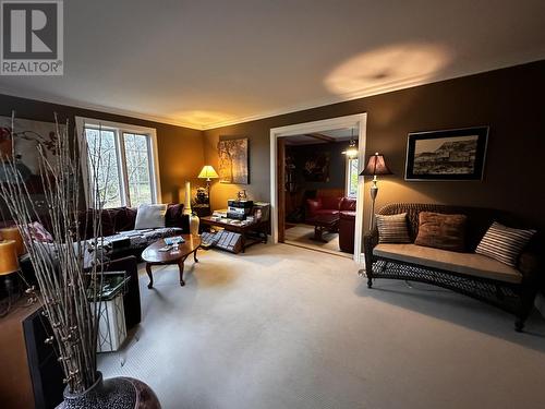 137 Portugal Cove Road, St. John'S, NL - Indoor Photo Showing Living Room