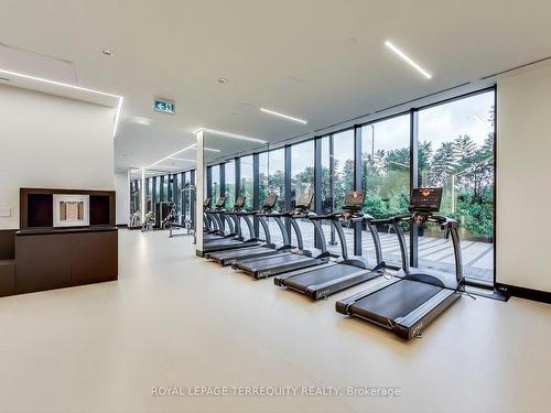 702-30 Tretti Way, Toronto, ON - Indoor Photo Showing Gym Room