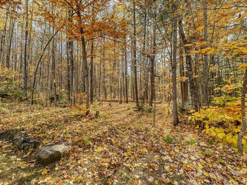 Exterior - 5152 Rue St-Georges, Rawdon, QC - Outdoor With View