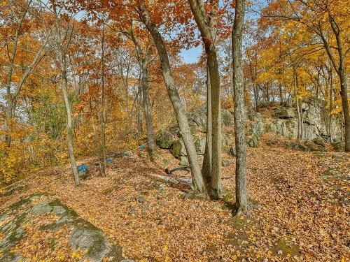 Backyard - 1136 Ch. De Val-Des-Lacs, Sainte-Sophie, QC - Outdoor With View