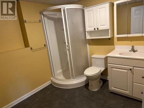 235 Willow Drive, Tumbler Ridge, BC - Indoor Photo Showing Bathroom