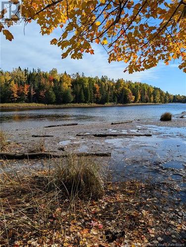 Lot Auburnville Road, Hardwicke, NB 