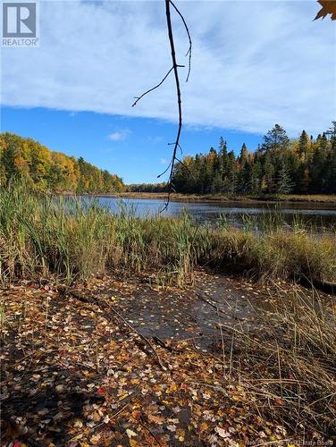 Lot Auburnville Road, Hardwicke, NB 