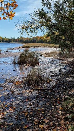 Lot Auburnville Road, Hardwicke, NB 