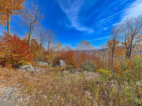 Cour - 1246 Ch. Mon-Nor, Sainte-Agathe-Des-Monts, QC - Outdoor With View