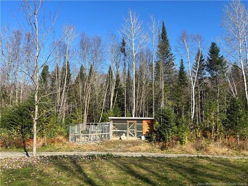 15833 Undine Rd, Dsl De Drummond/Dsl Of Drummond, NB 