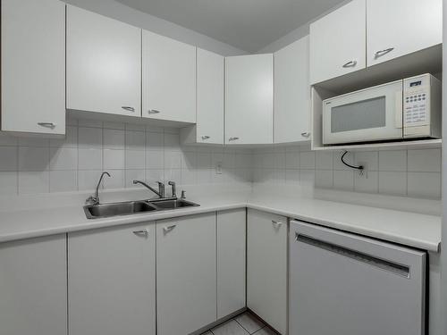 Cuisine - 204-33 Ch. Des Îles-Yale, Saint-Eustache, QC - Indoor Photo Showing Kitchen With Double Sink