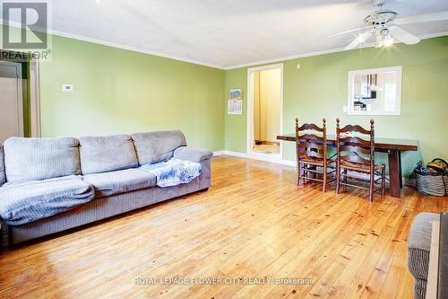 30 North Street, Barrie, ON - Indoor Photo Showing Living Room