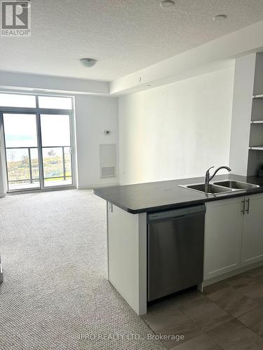 436 - 101 Shoreview Place, Hamilton, ON - Indoor Photo Showing Kitchen With Double Sink