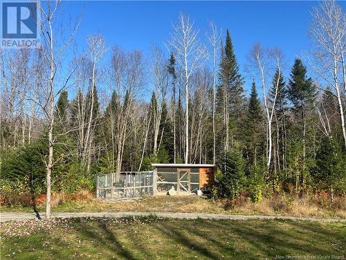 15833 Undine Road, Dsl De Drummond/Dsl Of Drummond, NB - Outdoor