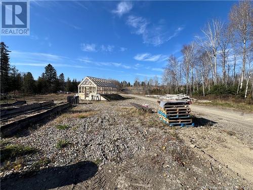 15833 Undine Road, Dsl De Drummond/Dsl Of Drummond, NB - Outdoor With View