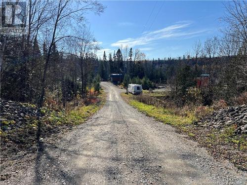 15833 Undine Road, Dsl De Drummond/Dsl Of Drummond, NB - Outdoor With View