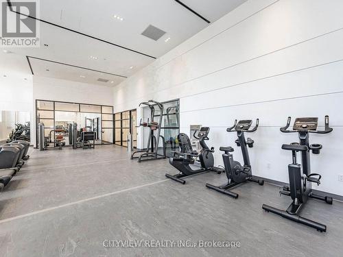 514 - 50 George Butchart Drive, Toronto, ON - Indoor Photo Showing Gym Room