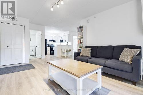 208 - 1487 Maple Avenue, Milton, ON - Indoor Photo Showing Living Room