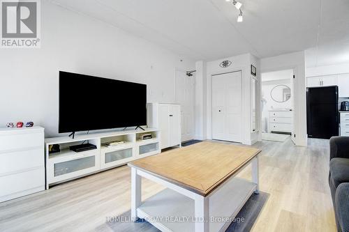 208 - 1487 Maple Avenue, Milton, ON - Indoor Photo Showing Living Room