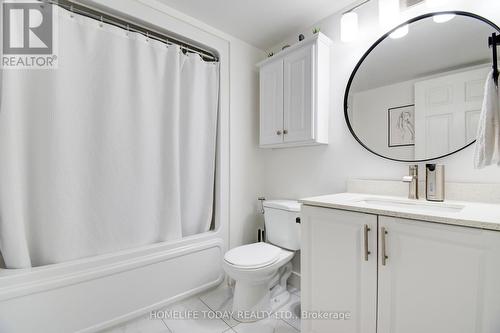 208 - 1487 Maple Avenue, Milton, ON - Indoor Photo Showing Bathroom