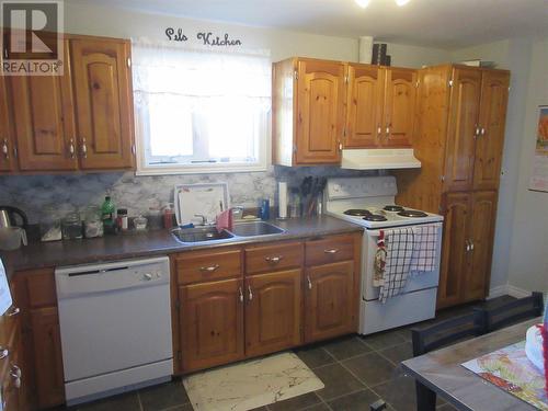 37 Thirteenth Avenue, Grand Falls Windsor, NL - Indoor Photo Showing Kitchen With Double Sink