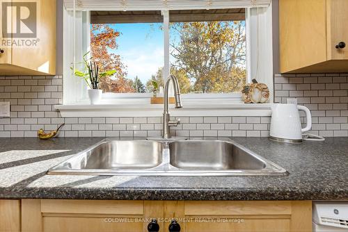 23 Ellen Crescent, Erin, ON - Indoor Photo Showing Kitchen With Double Sink