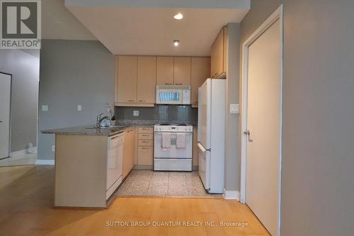 310 - 88 Palace Pier Court, Toronto, ON - Indoor Photo Showing Kitchen