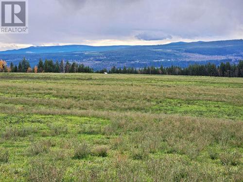 4142 Dale Lake Road, Quesnel, BC - Outdoor With View