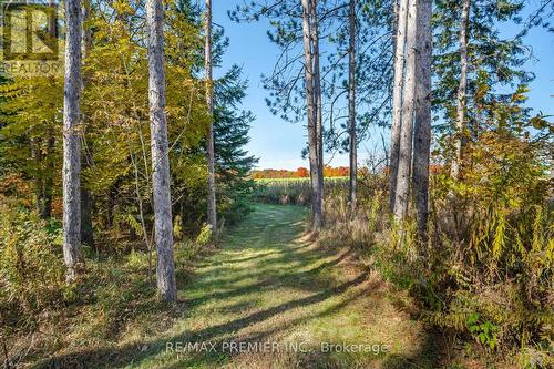 4904 10Th Side Road, Essa, ON - Outdoor With View