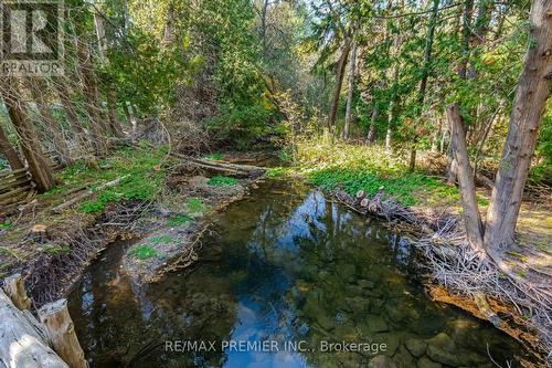 4904 10Th Side Road, Essa, ON - Outdoor With View