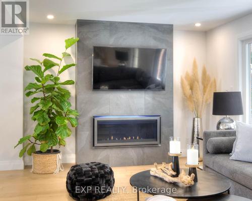 119 Charlotte Place, Kitchener, ON - Indoor Photo Showing Living Room With Fireplace