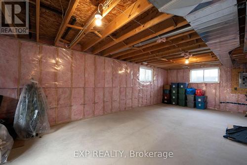 67 Tanya Drive, Southwest Middlesex (Glencoe), ON - Indoor Photo Showing Basement