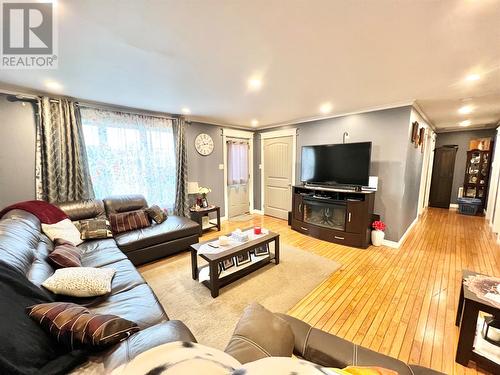 26 Main Street, Badger, NL - Indoor Photo Showing Living Room