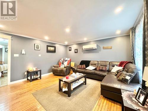 26 Main Street, Badger, NL - Indoor Photo Showing Basement