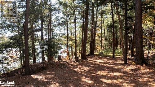 81 Amorak Trail, Whitestone, ON 