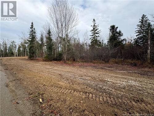 - Thomas Creek Lane, Oak Bay, NB 