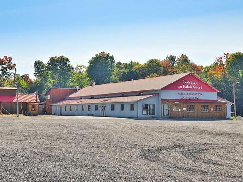 Exterior - 864 Rg Chartier, Mont-Saint-Grégoire, QC - Outdoor